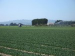[Irrigator 2.JPG]